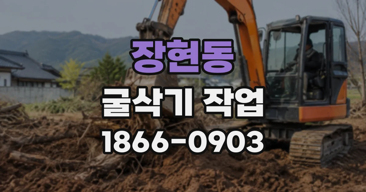 장현동 굴삭기작업