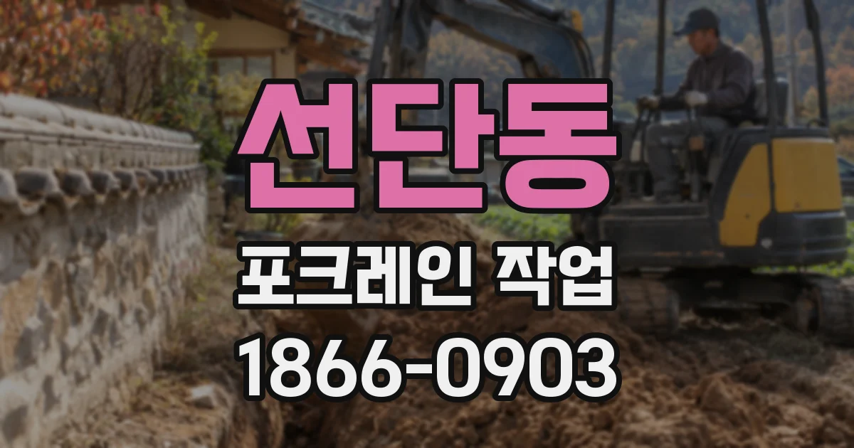 선단동 포크레인 작업