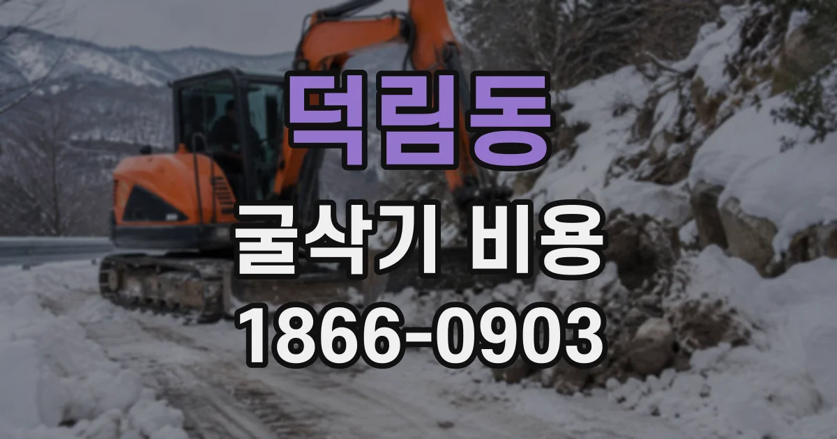 덕림동 굴삭기비용