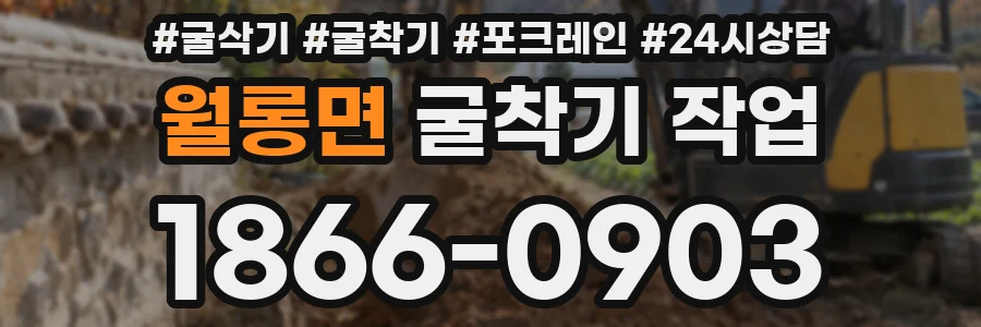 월롱면 굴착기 작업