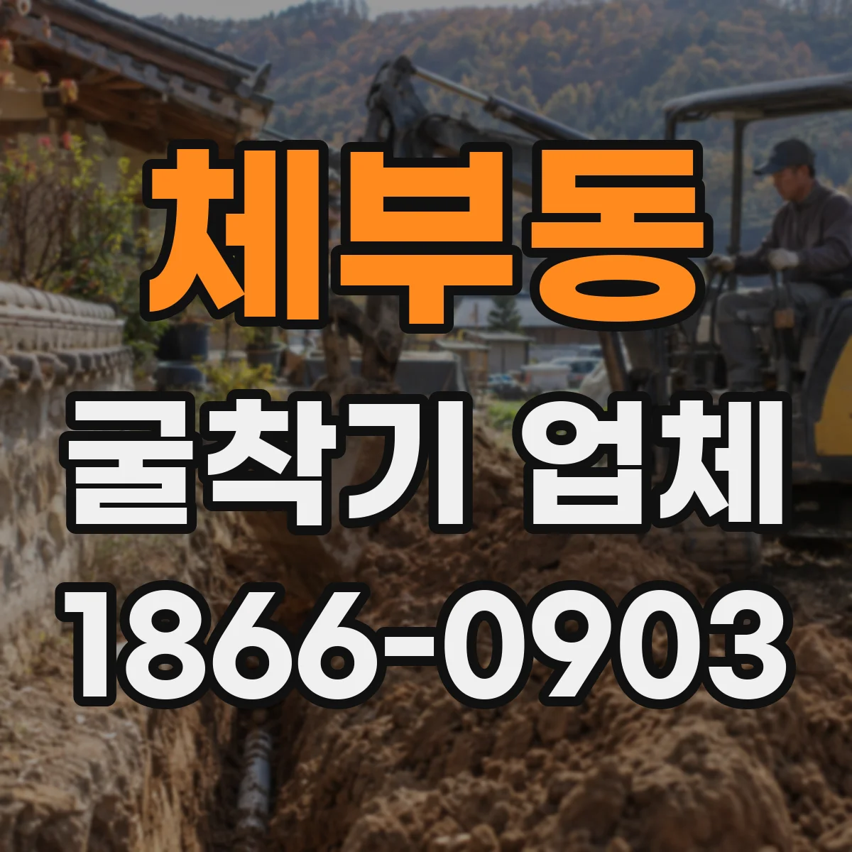 체부동 굴착기 업체