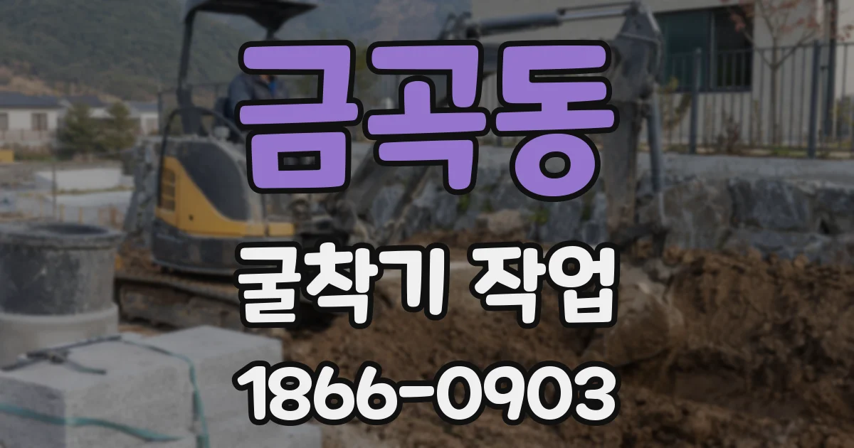 금곡동 굴착기 작업