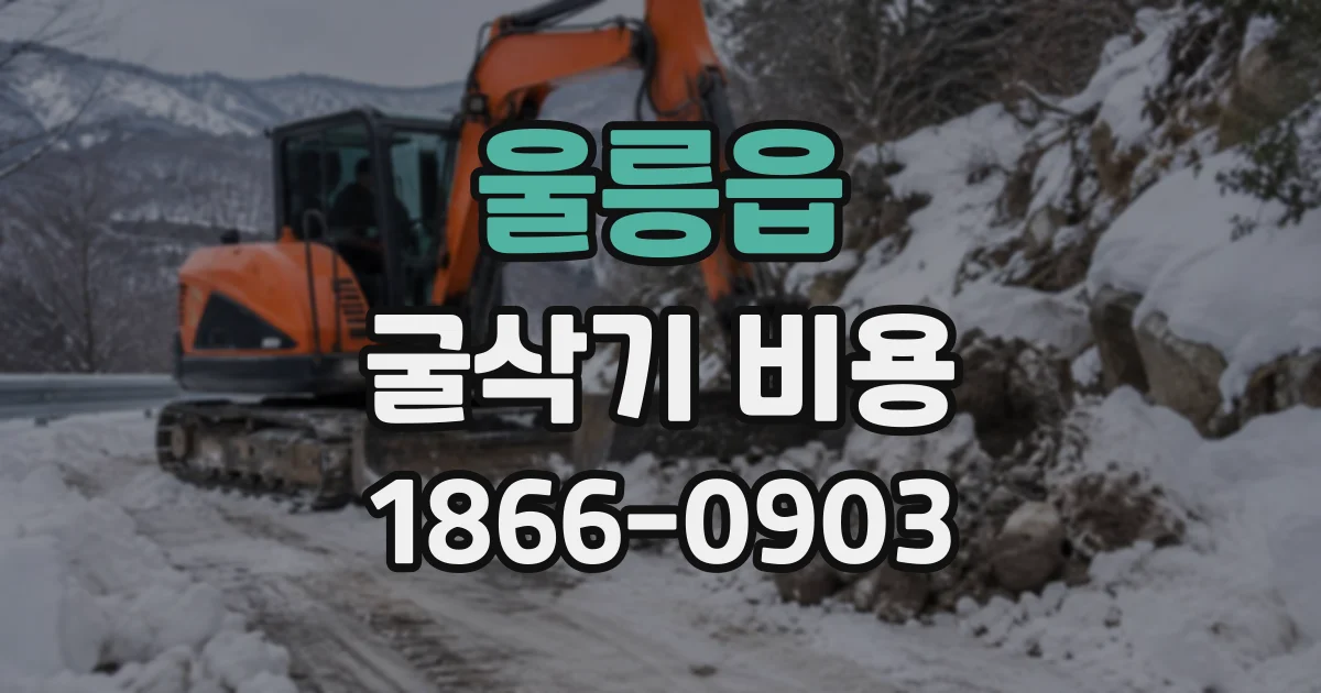 울릉읍 굴삭기비용