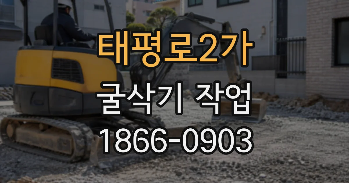 태평로2가 굴삭기작업