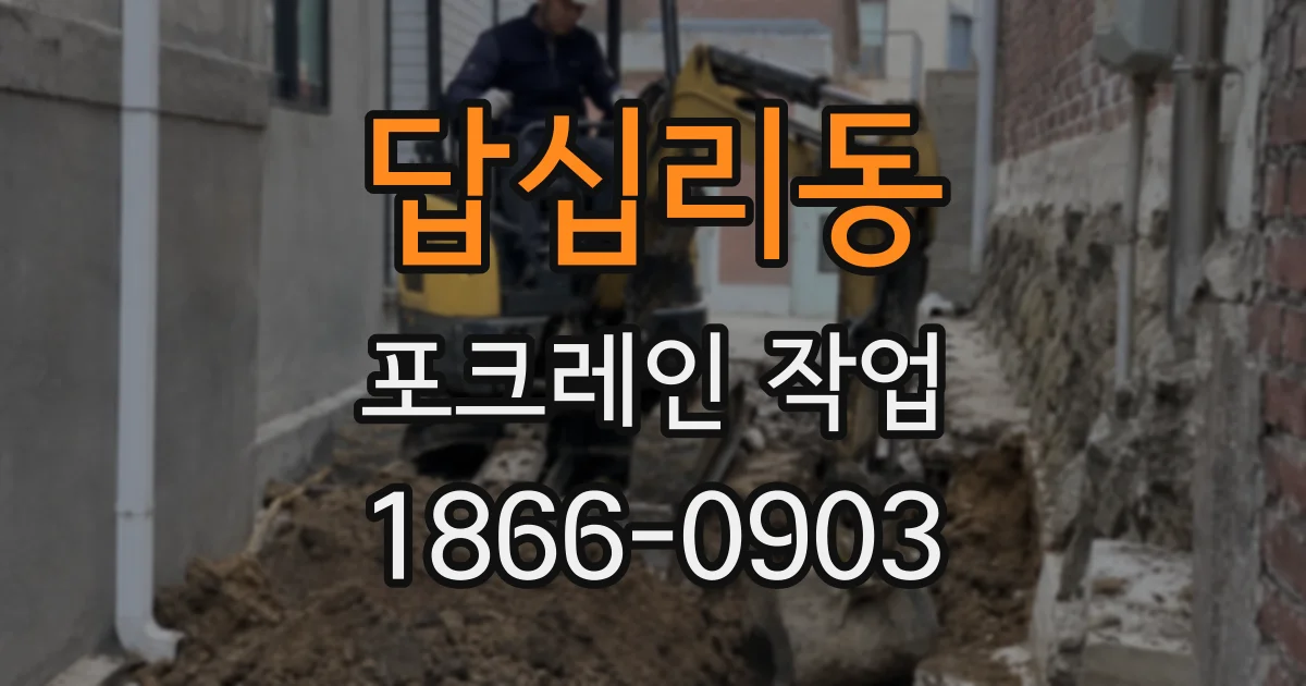 답십리동 포크레인 작업