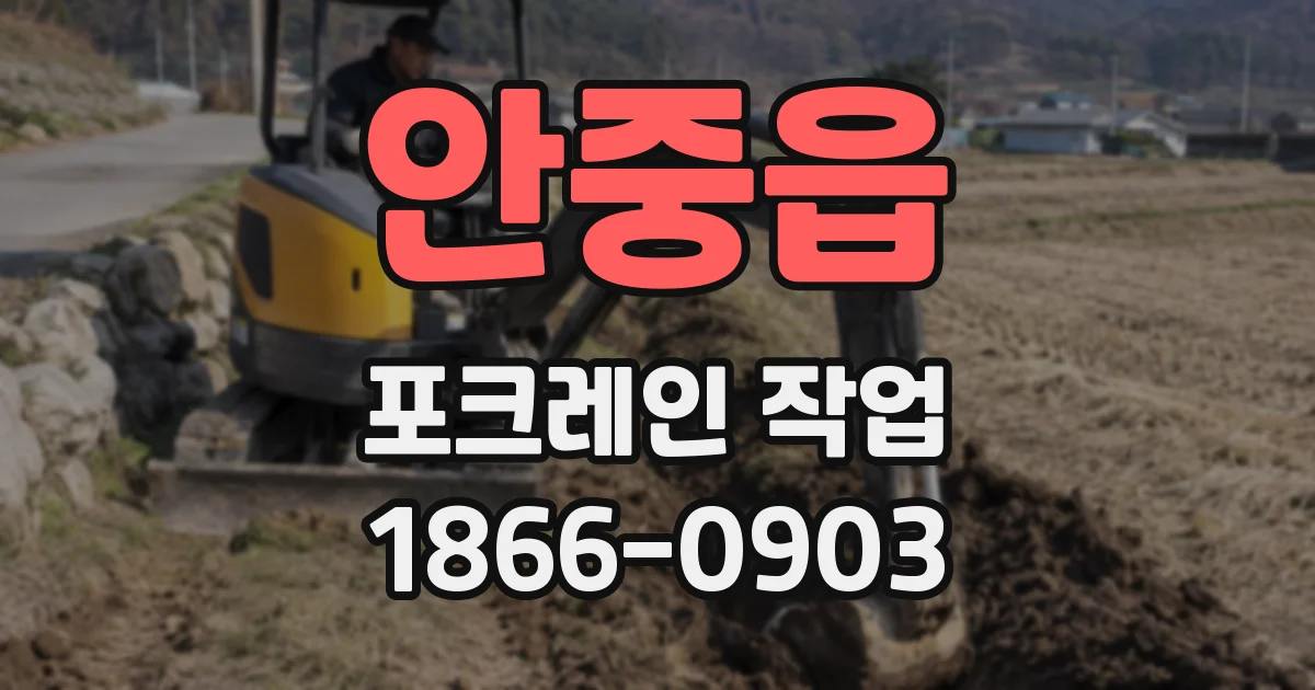 안중읍 포크레인 작업