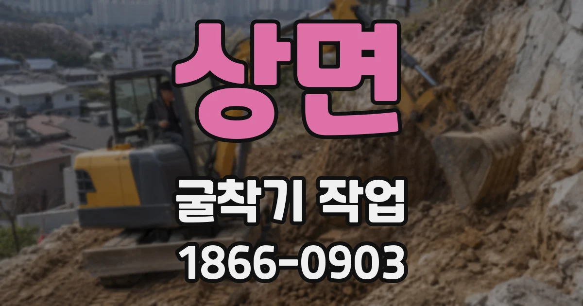 상면 굴착기 작업