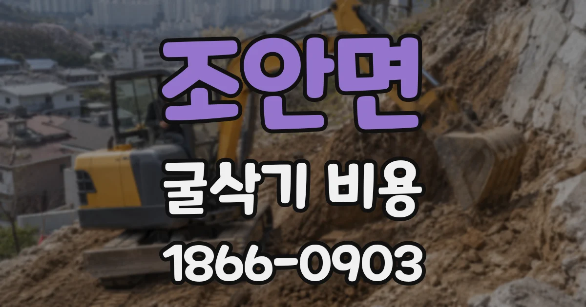 조안면 굴삭기 비용