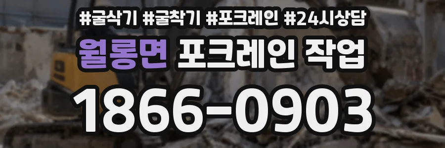 월롱면 포크레인 작업