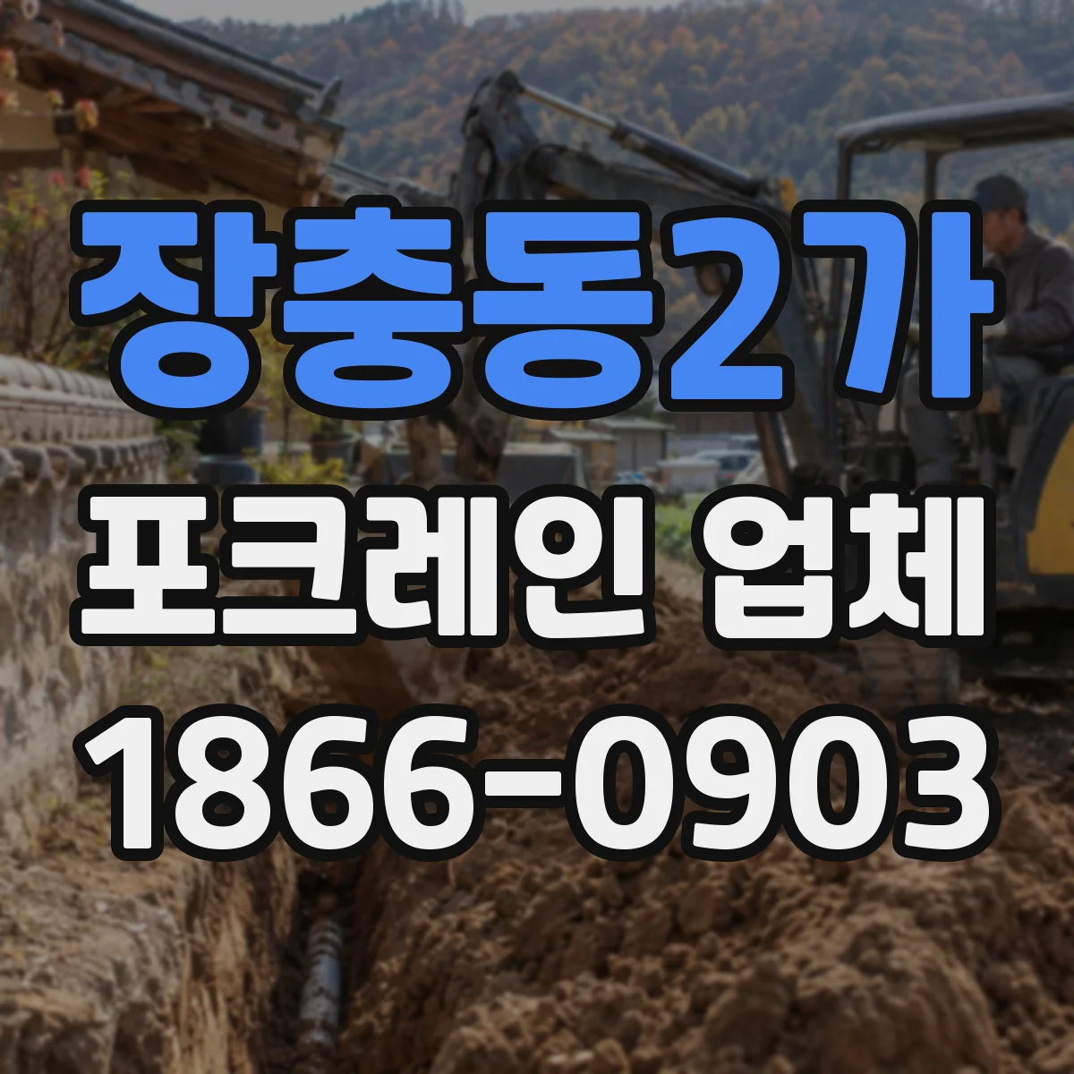 장충동2가 포크레인 업체