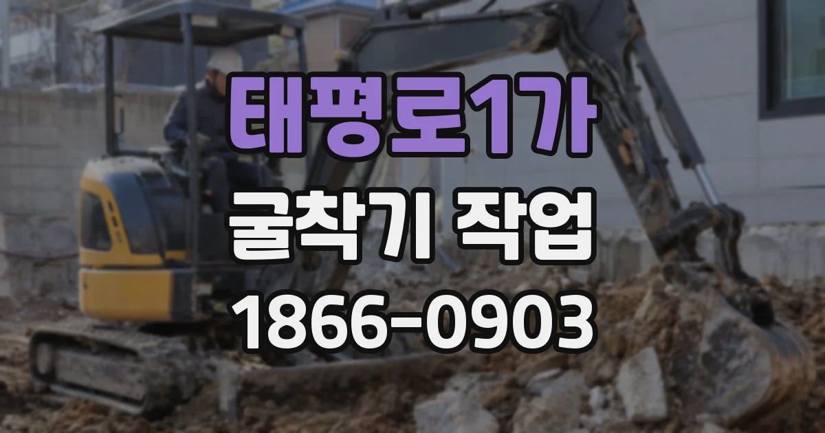 태평로1가 굴착기 작업