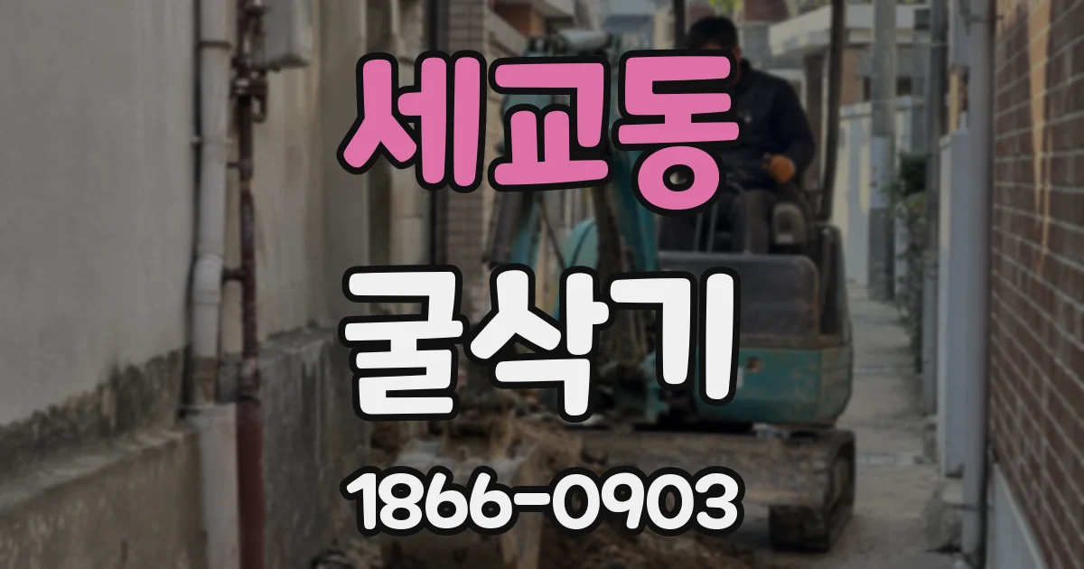 세교동 굴삭기