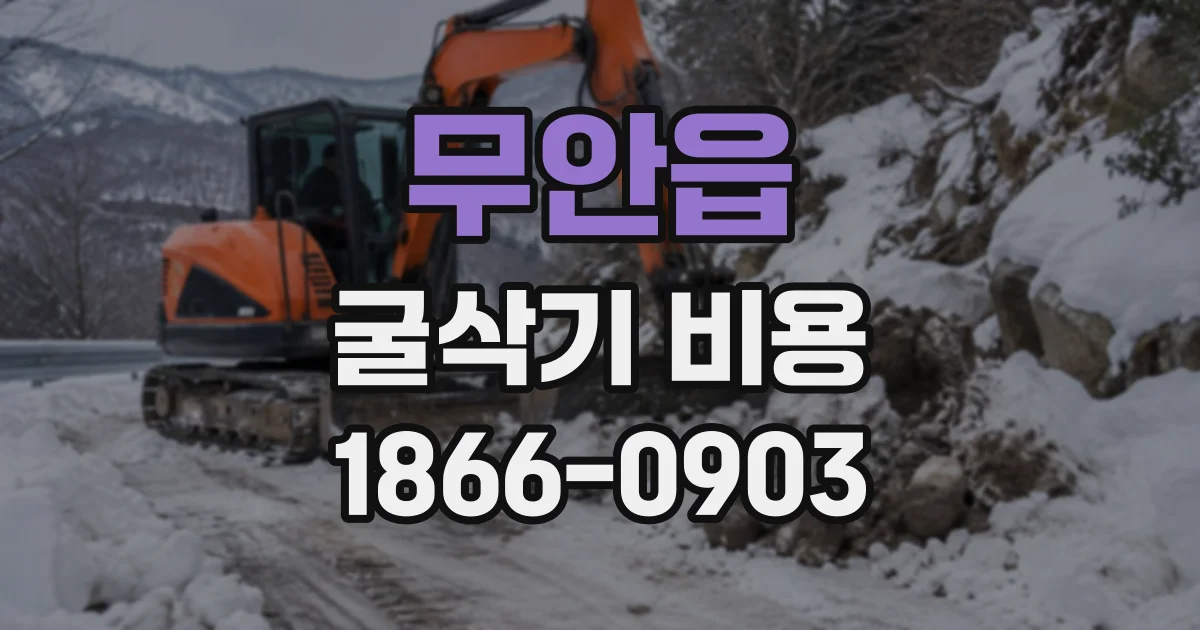 무안읍 굴삭기비용