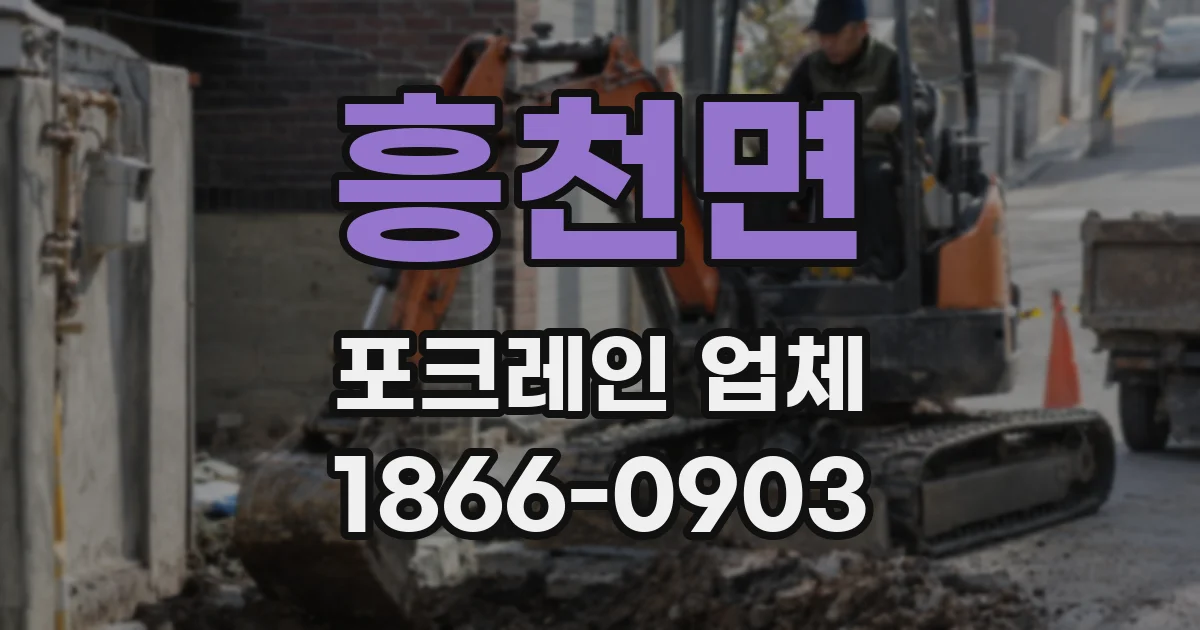 흥천면 포크레인 업체