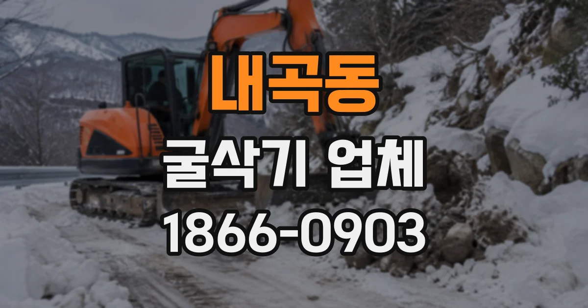 내곡동 굴삭기업체