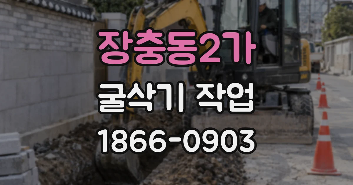 장충동2가 굴삭기 작업