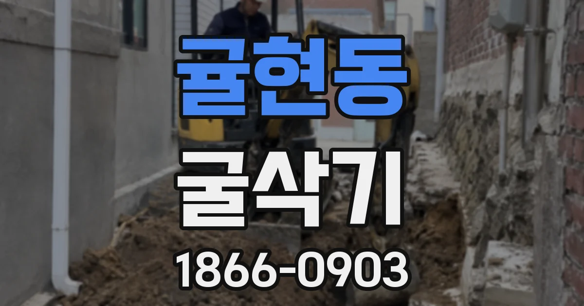 귤현동 굴삭기