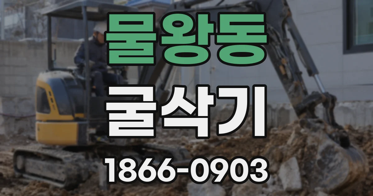 물왕동 굴삭기