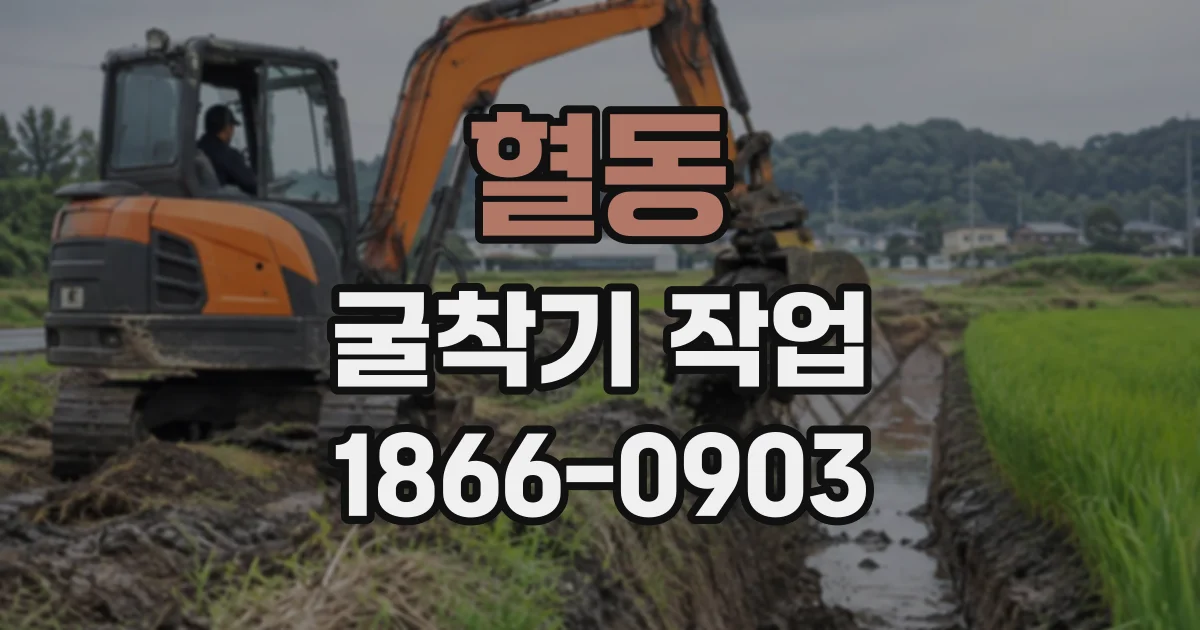 혈동 굴착기작업
