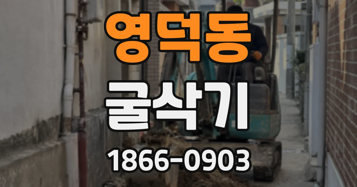 영덕동 굴삭기
