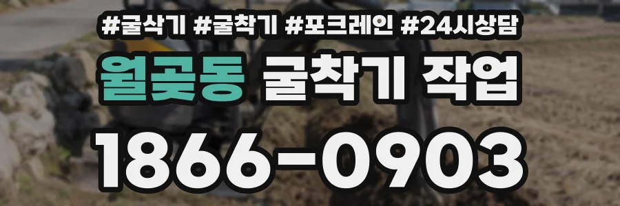 월곶동 굴착기 작업