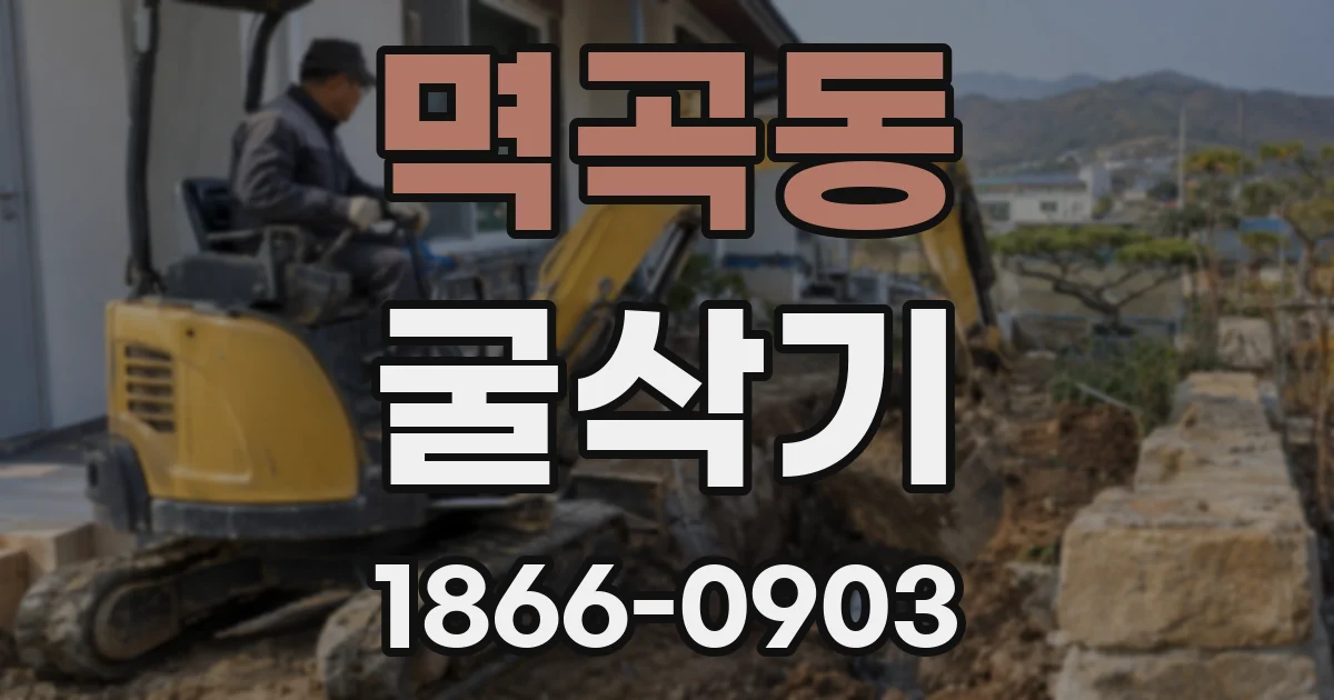 멱곡동 굴삭기