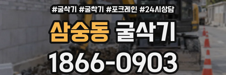 삼숭동 굴삭기