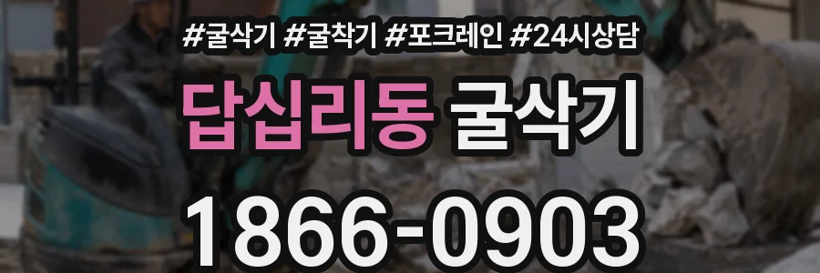 답십리동 굴삭기