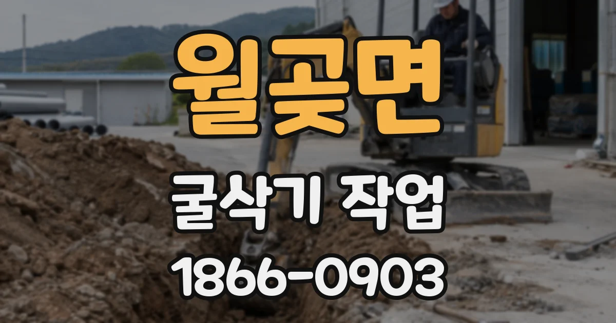 월곶면 굴삭기 작업