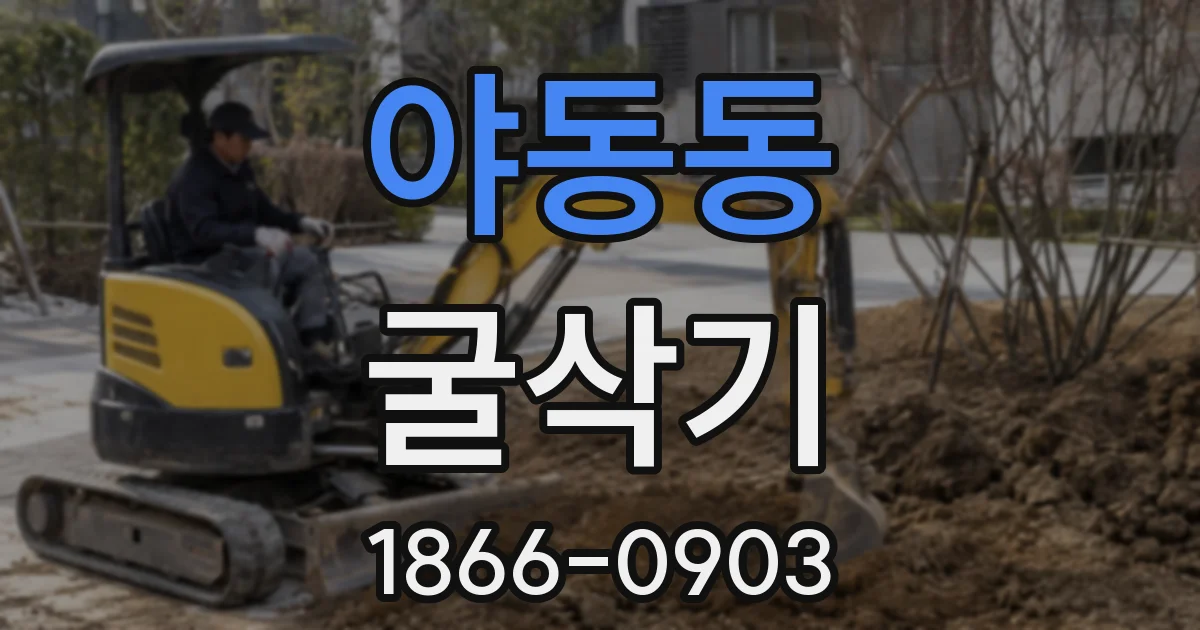 야동동 굴삭기