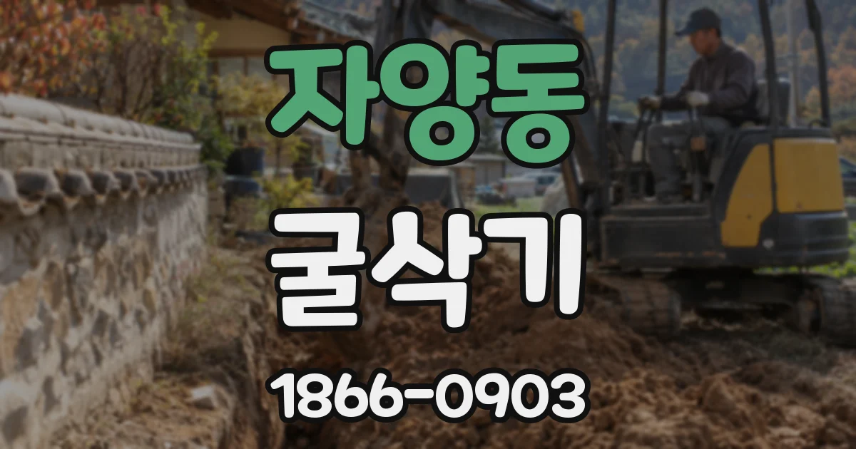 자양동 굴삭기