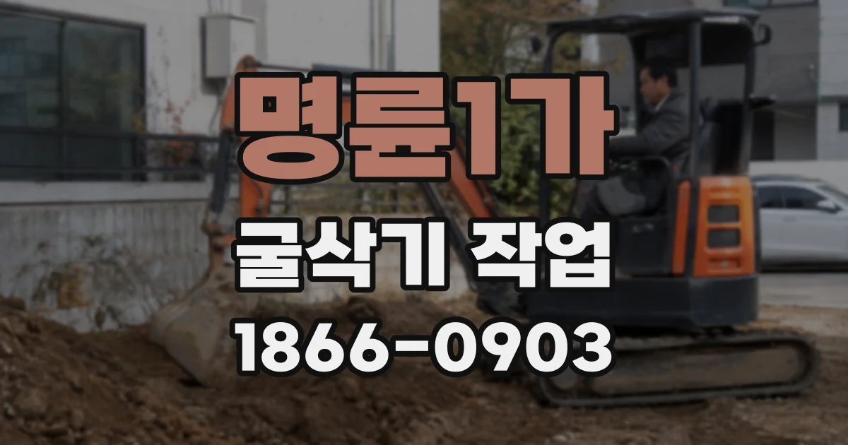 명륜1가 굴삭기 작업