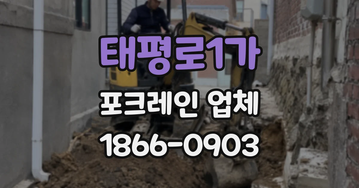 태평로1가 포크레인 업체