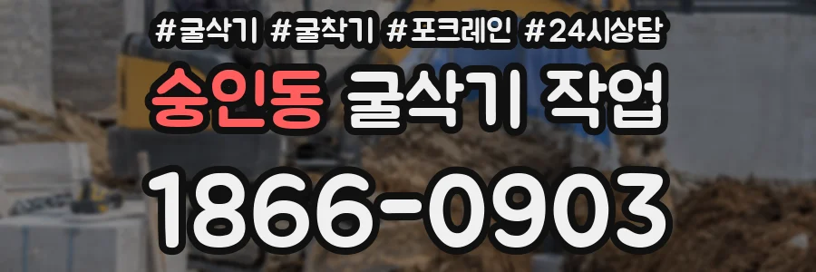 숭인동 굴삭기 작업
