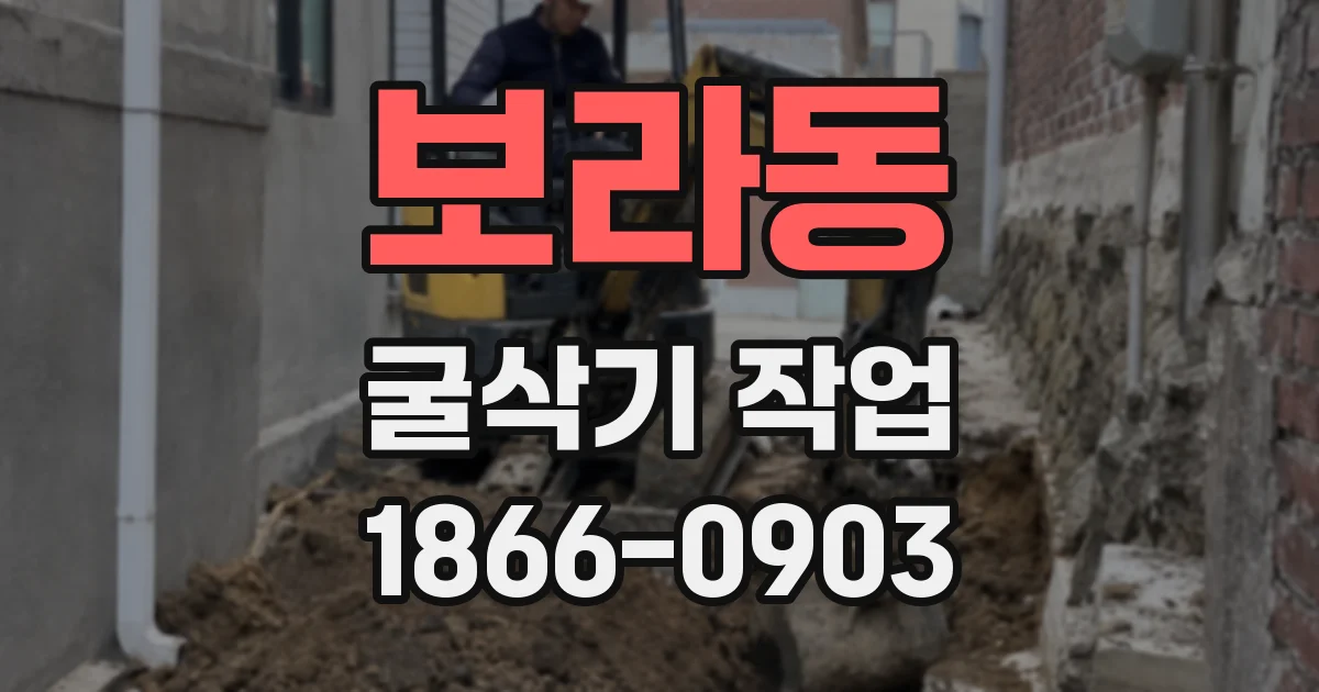보라동 굴삭기 작업