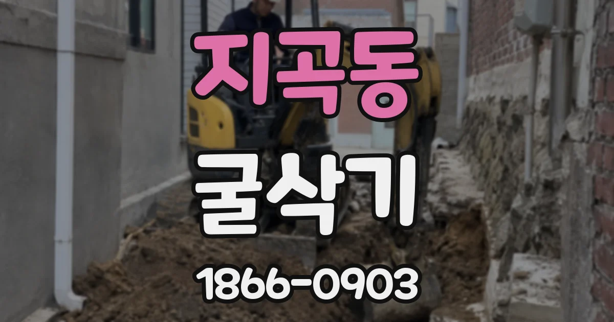 지곡동 굴삭기