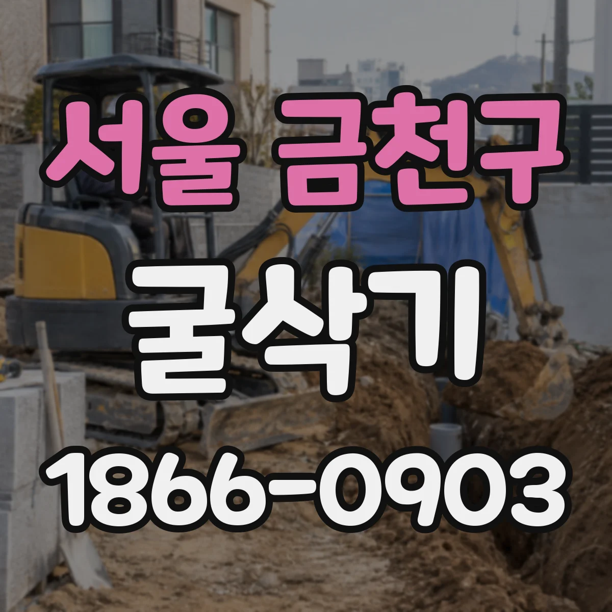 서울 금천구 굴삭기