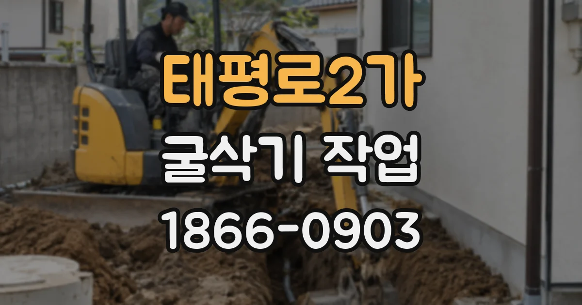 태평로2가 굴삭기 작업