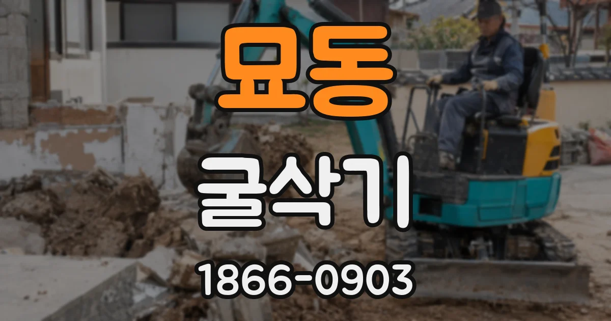 묘동 굴삭기
