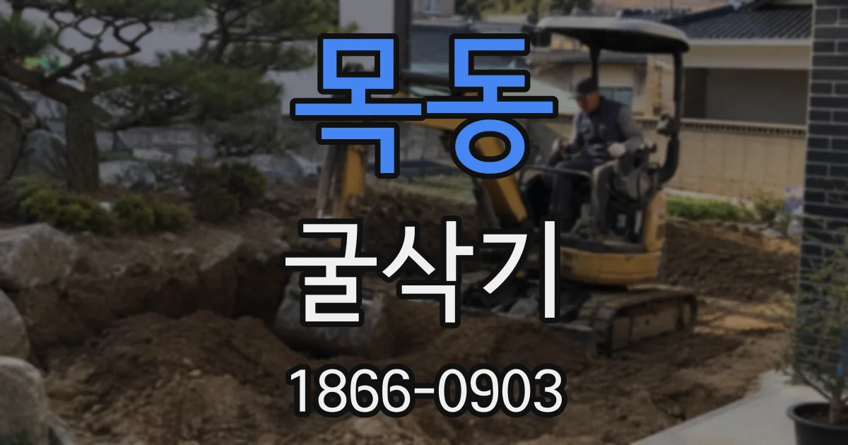 목동 굴삭기