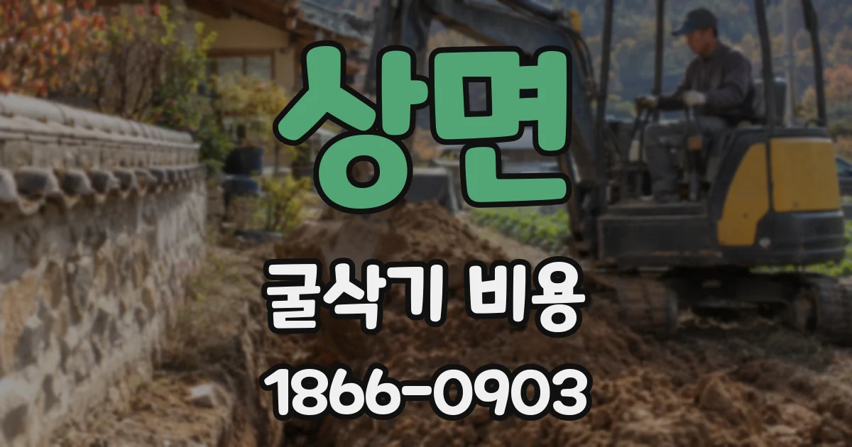상면 굴삭기 비용