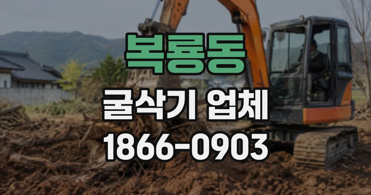 복룡동 굴삭기업체