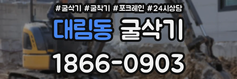 대림동 굴삭기