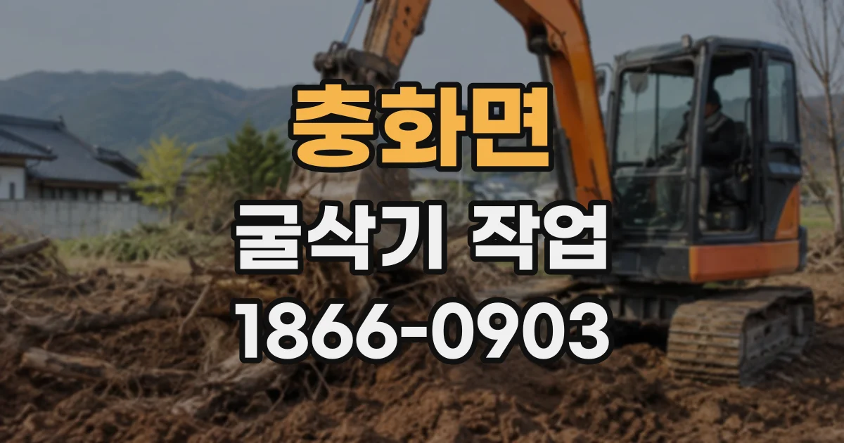 충화면 굴삭기작업