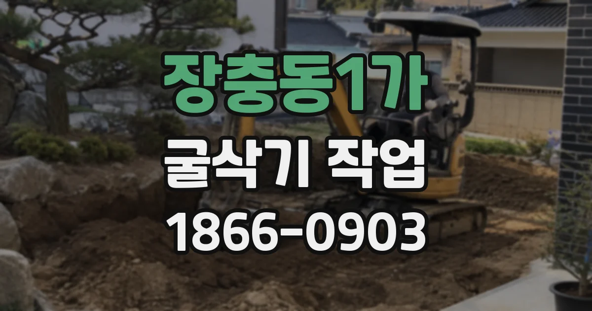 장충동1가 굴삭기 작업