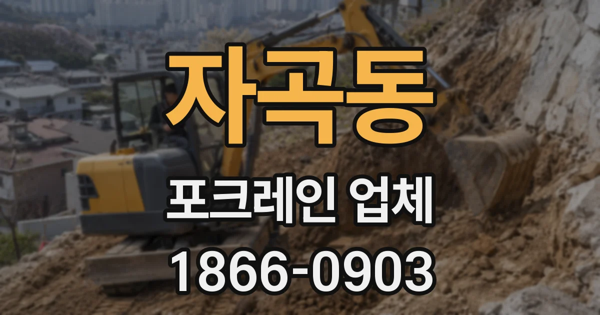 자곡동 포크레인 업체