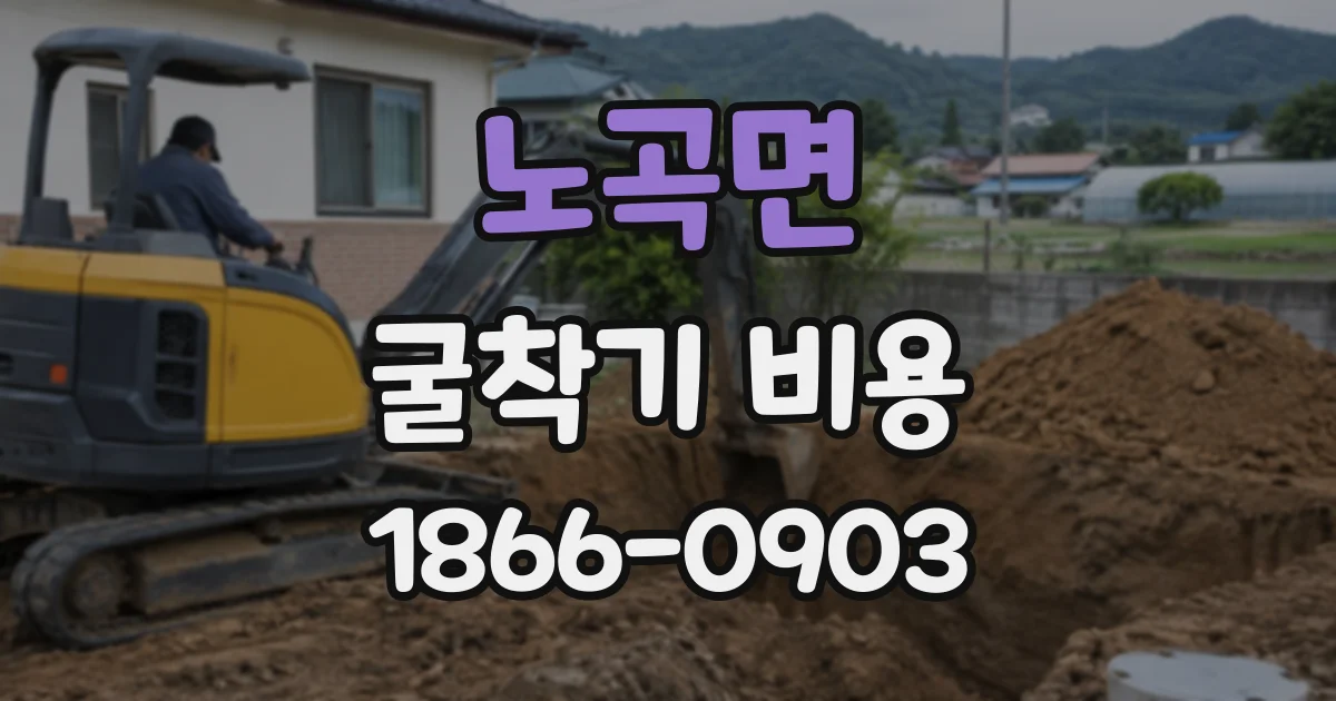 노곡면 굴착기비용