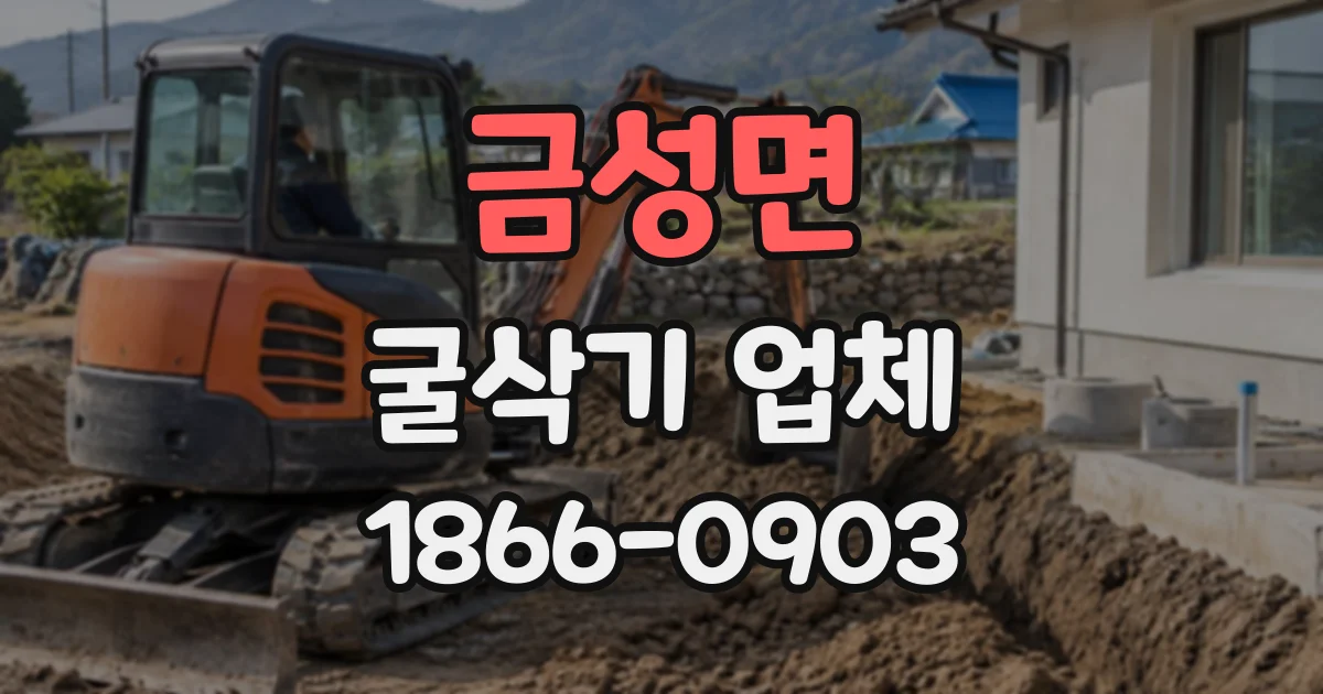 금성면 굴삭기업체