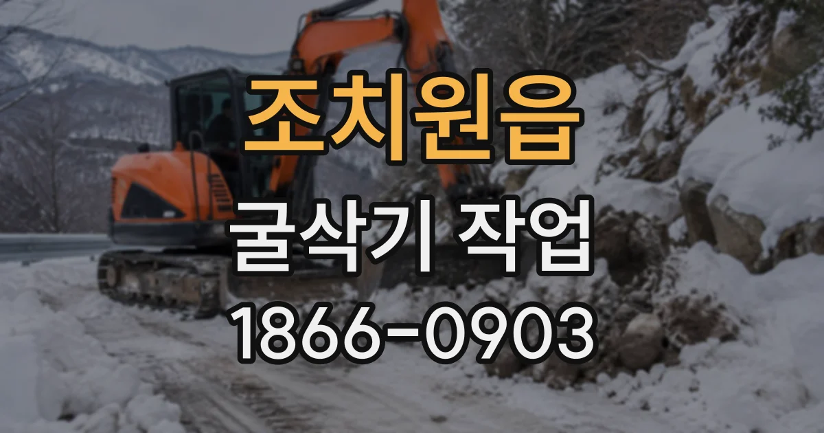 조치원읍 굴삭기작업