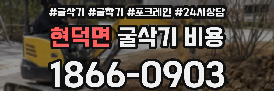 현덕면 굴삭기 비용